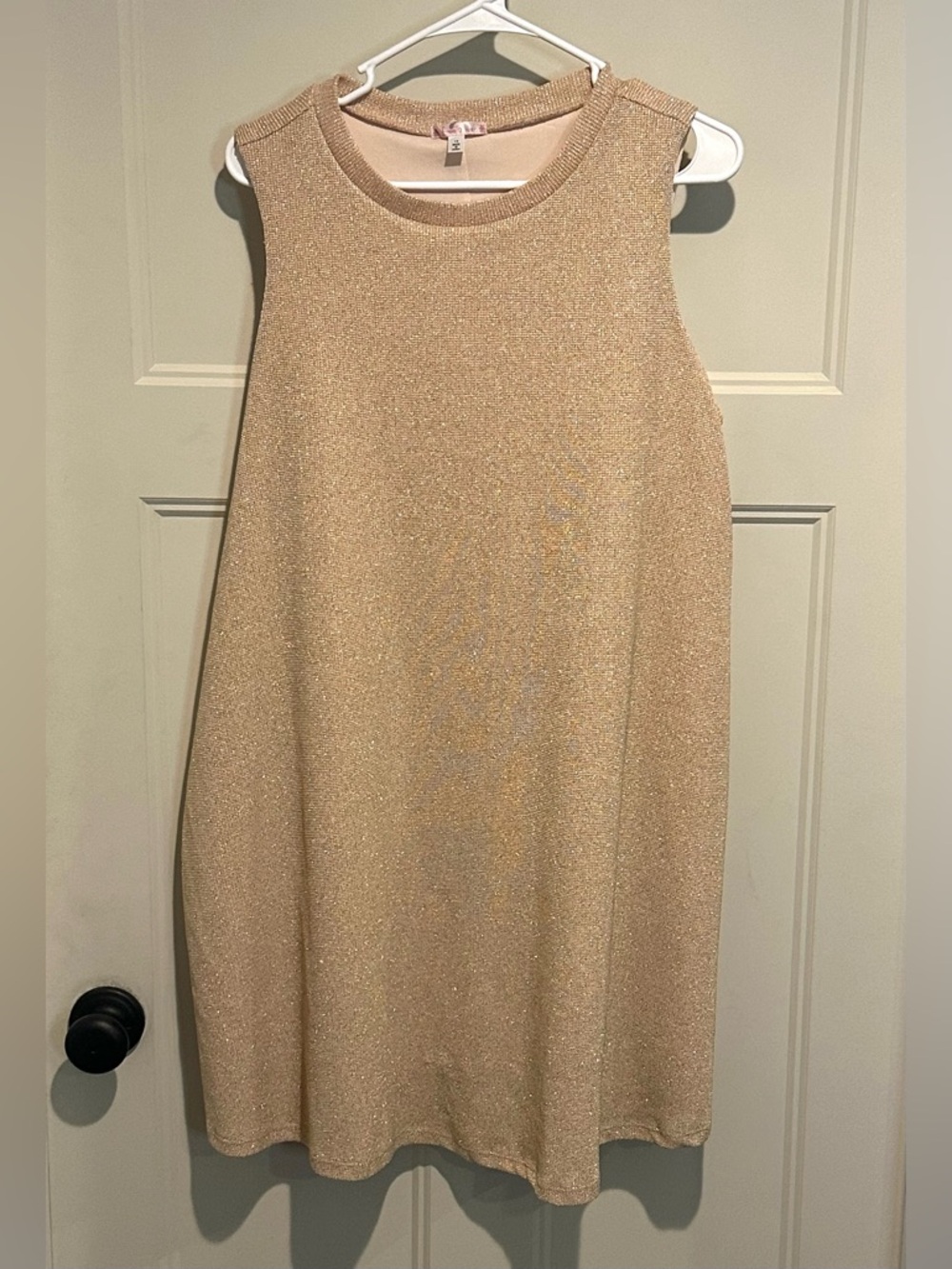 1X Sleeveless Shimmer Shift Dress in Champagne